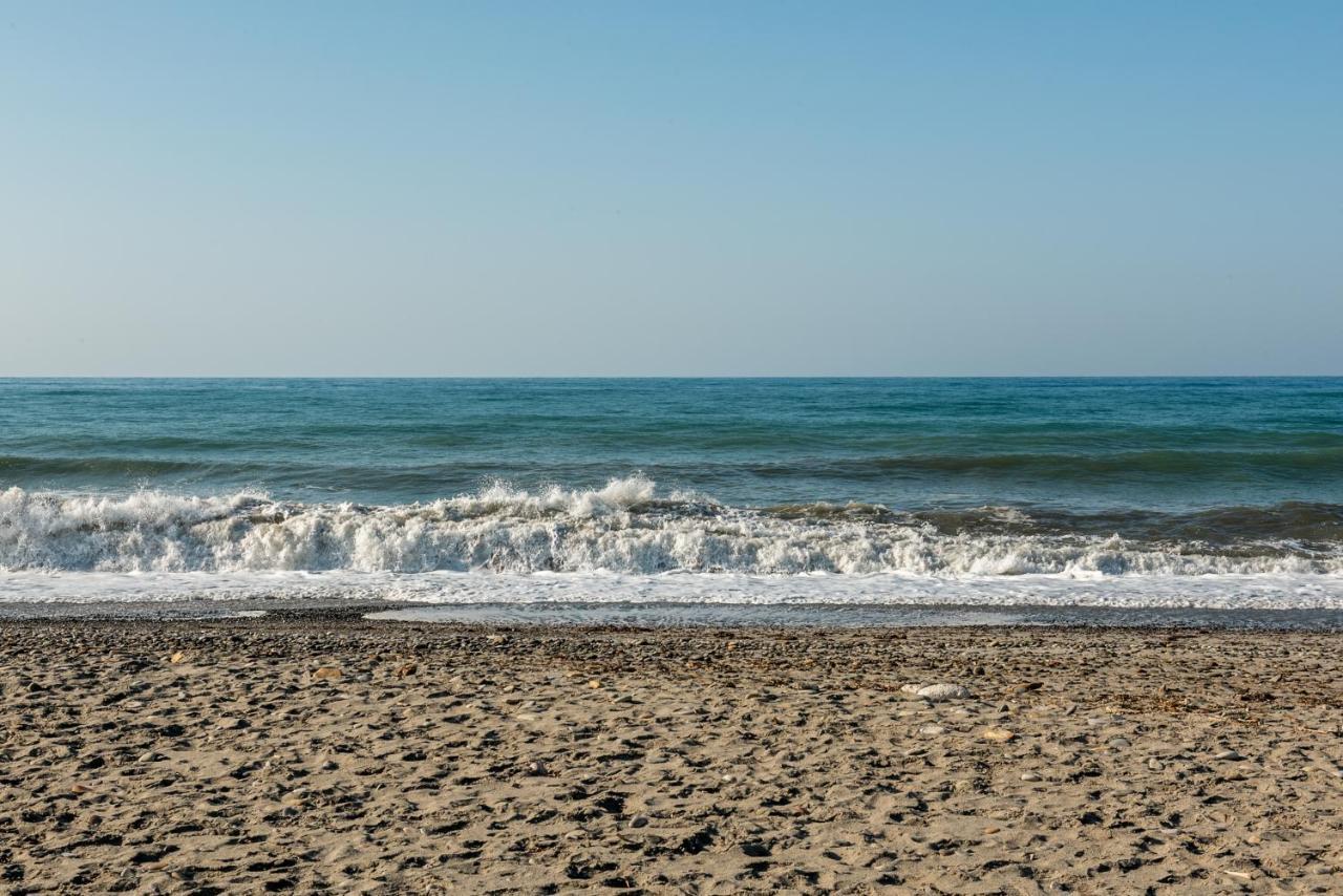 מאלמה Gt Beach מראה חיצוני תמונה