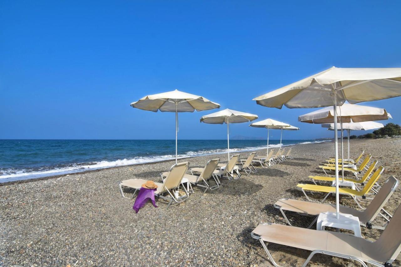 מאלמה Gt Beach מראה חיצוני תמונה